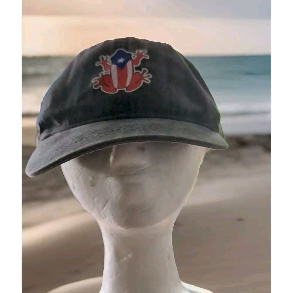 American Flag Frog Baseball‎ Cap